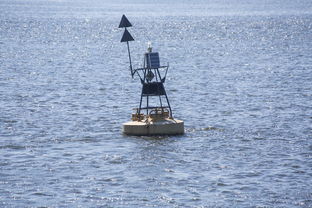 kaiyun体育综合-中方蝶泳入水角度更锐利？图解数据分析，中国蝶泳厉害吗