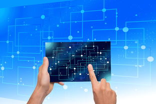 开云体育手机-中国篮球教练员战术执行力提升路径及方法研究，如何提高篮球教练员水平